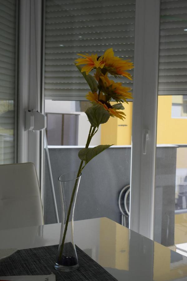 Apartmani K&V Veliko Gradište Kültér fotó