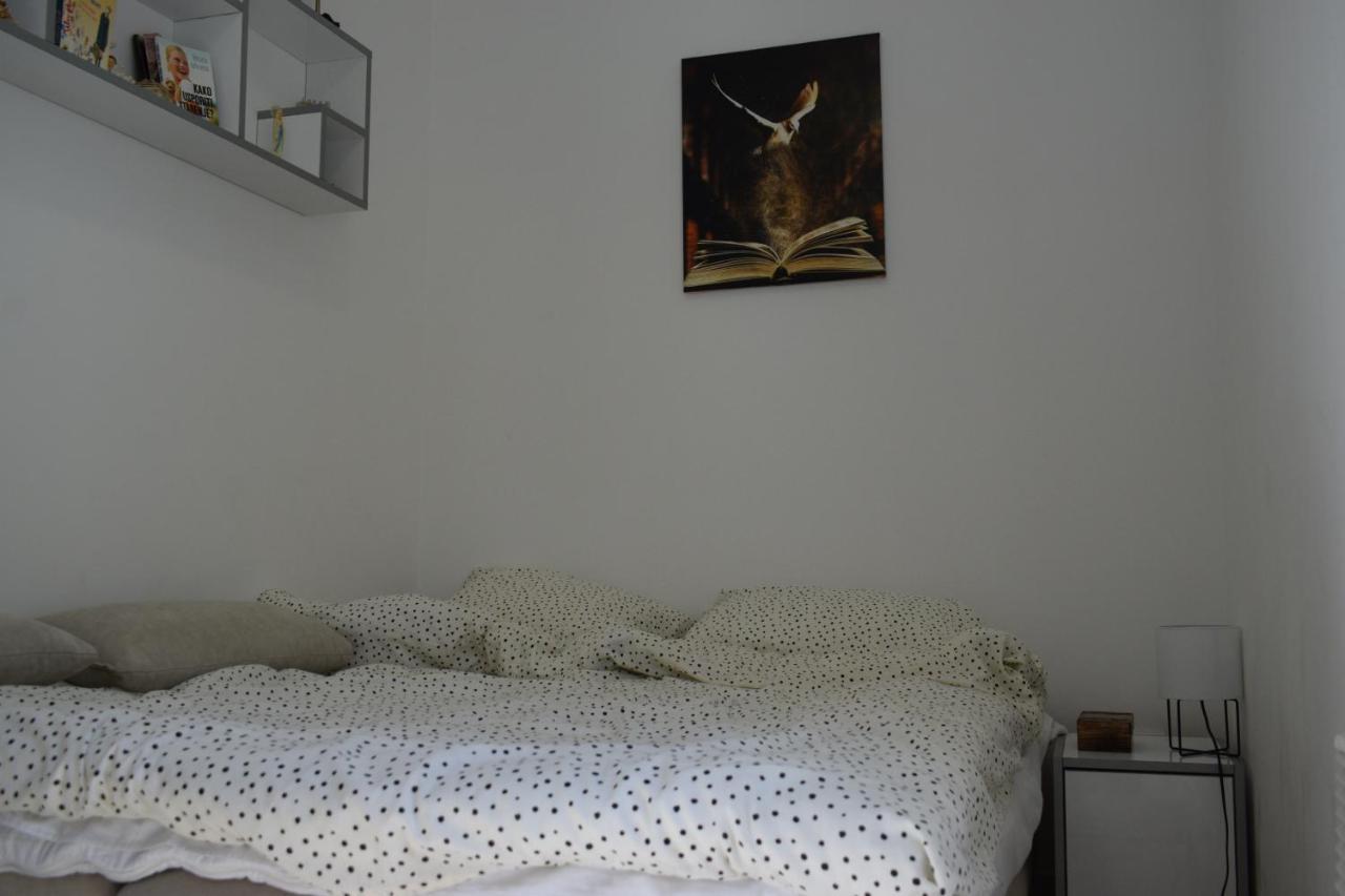 Apartmani K&V Veliko Gradište Kültér fotó