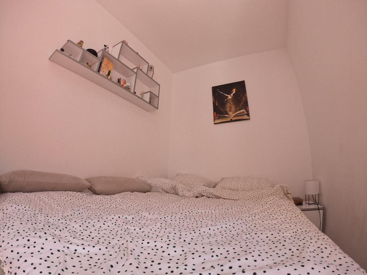 Apartmani K&V Veliko Gradište Kültér fotó